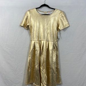 Brand new LulaRoe Amelia size XL